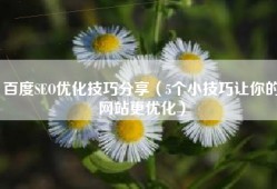 百度SEO优化技巧分享（5个小技巧让你的网站更优化）
