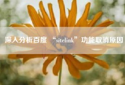 深入分析百度 “sitelink”功能取消原因