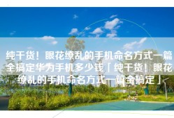 纯干货！眼花缭乱的手机命名方式一篇全搞定华为手机多少钱「纯干货！眼花缭乱的手机命名方式一篇全搞定」
