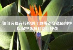 如何选择在线检测工具辨别文章原创性以保护版权和防止抄袭