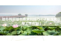 提升网站排名收录的技巧（了解搜索引擎工作机制）