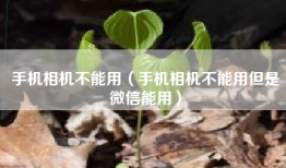 手机相机不能用（手机相机不能用但是微信能用）