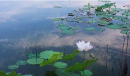 芜湖市人民政府关于印发芜湖市低空经济高质量发展行动方案（2023—2025年）的通知