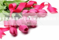 手机测温度aPP（手机测温度室内温度）