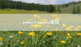 python+selenium定位
