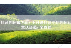 抖音如何成为蓝V 不开通抖音小店如何运营认证蓝v 全攻略