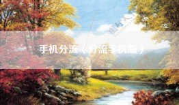 手机分流（分流手机版）