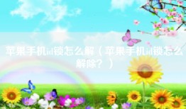 苹果手机id锁怎么解（苹果手机id锁怎么解除？）