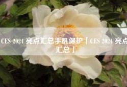 CES 2024 亮点汇总手机保护「CES 2024 亮点汇总」