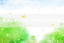 防止玩手机（防止玩手机的软件养猫）