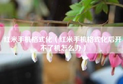 红米手机格式化（红米手机格式化后开不了机怎么办）