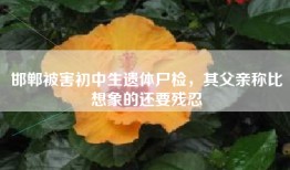 邯郸被害初中生遗体尸检，其父亲称比想象的还要残忍