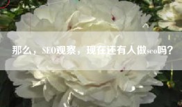 那么，SEO观察，现在还有人做seo吗？