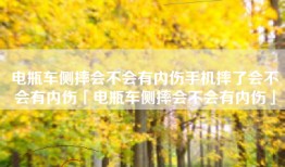 电瓶车侧摔会不会有内伤手机摔了会不会有内伤「电瓶车侧摔会不会有内伤」