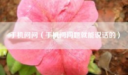 手机问问（手机问问题就能说话的）
