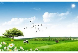 直道守节是什么生肖；解释词语落实释义