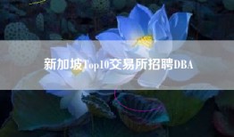 新加坡Top10交易所招聘DBA