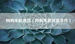 网购手机退货（网购手机退货条件）