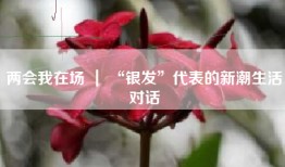 两会我在场 ｜ “银发”代表的新潮生活对话