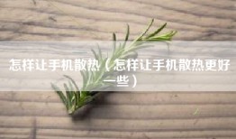 怎样让手机散热（怎样让手机散热更好一些）
