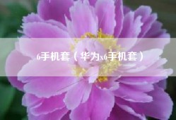 6手机套（华为x6手机套）