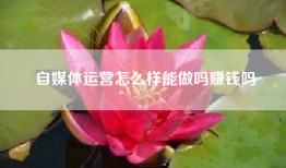 自媒体运营怎么样能做吗赚钱吗