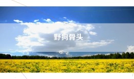 野狗骨头