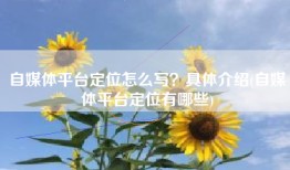 自媒体平台定位怎么写？具体介绍(自媒体平台定位有哪些)