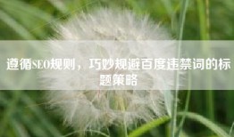 遵循SEO规则，巧妙规避百度违禁词的标题策略