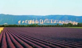 2024文旅住宿节“设计99”融合·重构《设计生态下：城市的创新》
