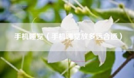 手机睡觉（手机睡觉放多远合适）