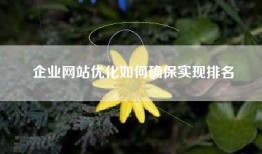 企业网站优化如何确保实现排名