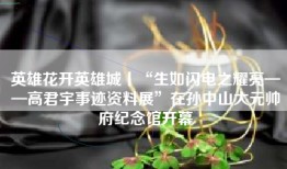 英雄花开英雄城丨“生如闪电之耀亮——高君宇事迹资料展”在孙中山大元帅府纪念馆开幕