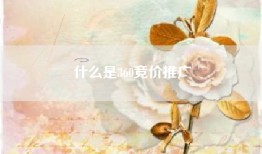 什么是360竞价推广
