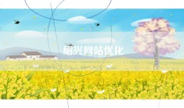 绍兴网站优化