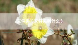 文件夹（文件夹叫什么）