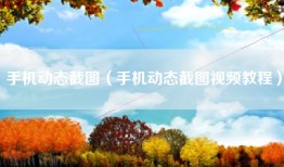 手机动态截图（手机动态截图视频教程）