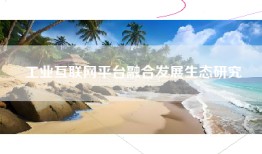 工业互联网平台融合发展生态研究