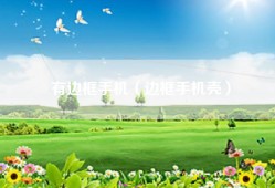 有边框手机（边框手机壳）
