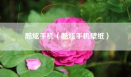 酷炫手机（酷炫手机壁纸）