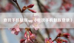 查找手机魅族app（查找手机魅族登录）
