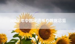2023全年中国经济核心数据总览