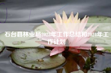 石台县林业局2023年工作总结和2024年工作计划
