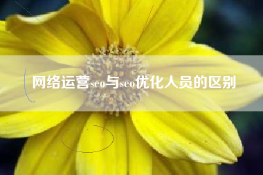 网络运营seo与seo优化人员的区别
