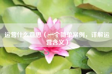 运营什么意思（一个简单案例，详解运营含义）