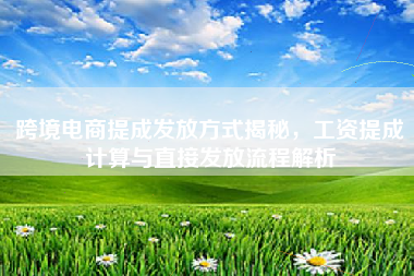 跨境电商提成发放方式揭秘，工资提成计算与直接发放流程解析