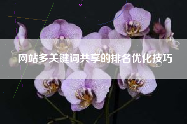 网站多关键词共享的排名优化技巧