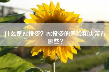 什么是PE投资？PE投资的风险和决策有哪些？