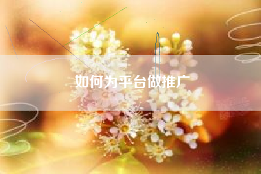 如何为平台做推广