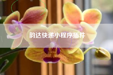 韵达快递小程序插件